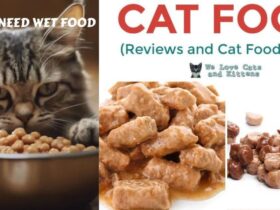 Do-Cats-Need-Wet-Foods.