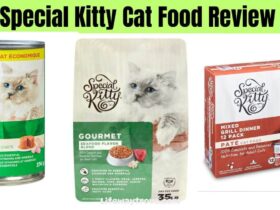 special-Kitty-Cat-Food-Review