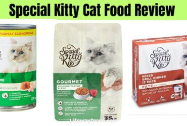 special-Kitty-Cat-Food-Review