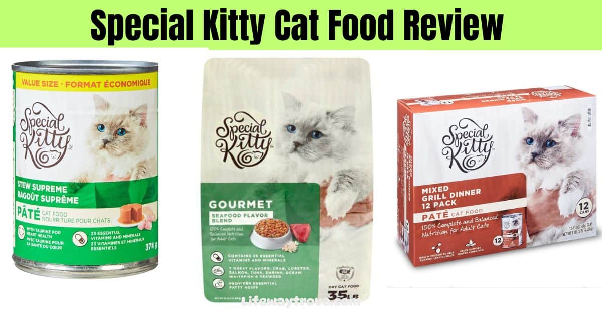 special-Kitty-Cat-Food-Review