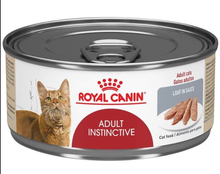 The royal canine cat food