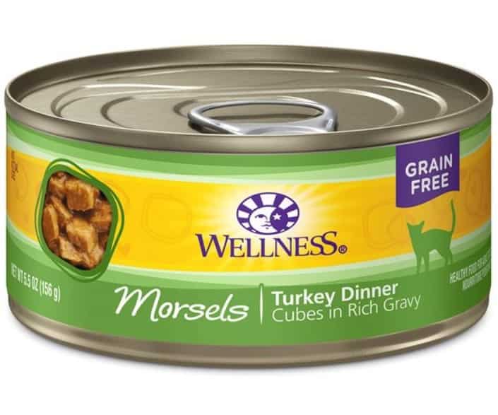 Wellness cat food
