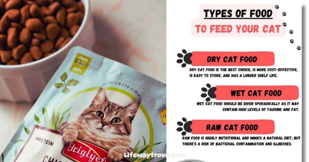 Features of Special Kitty Cat Food