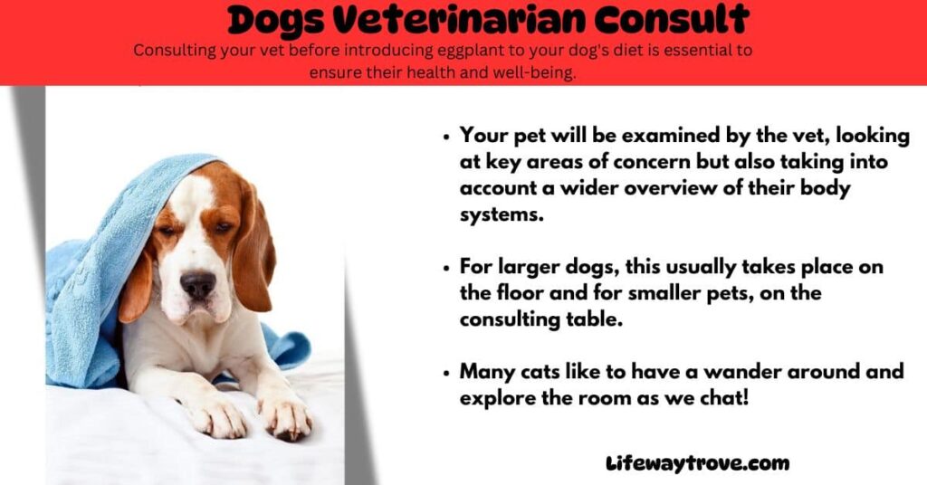 Dogs Veterinarian Consult