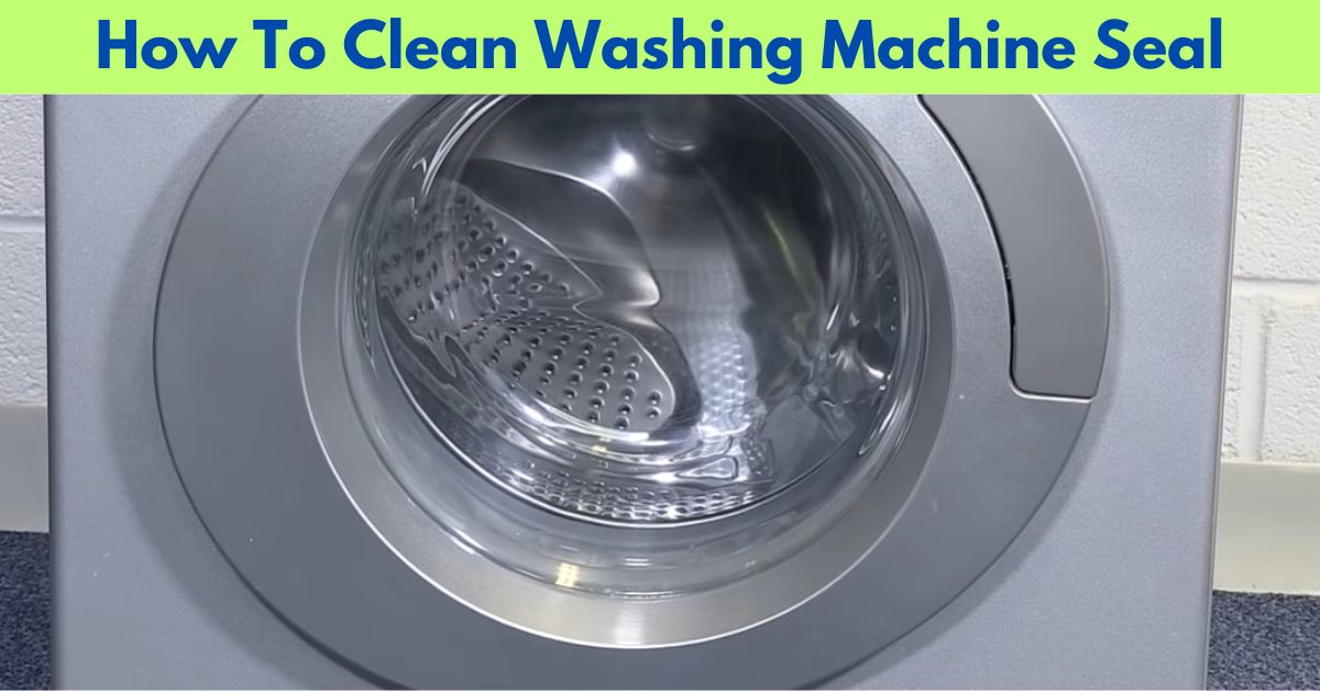 How-To-Clean-Washing-Machine-Seal