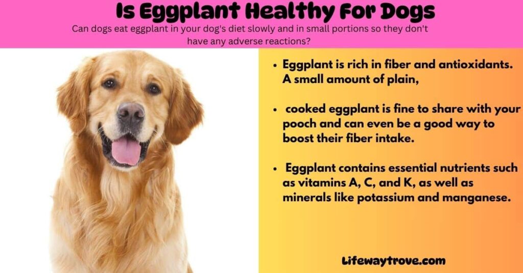 Is Eggplant Healthy For Dogs